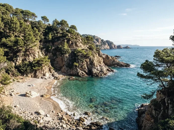 A pine-fringed cove with turquoise water on the Costa Brava